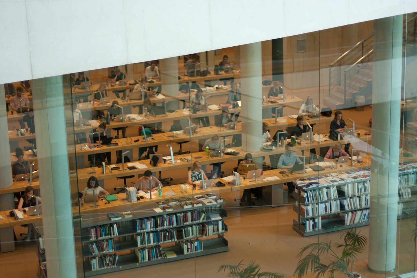 Studenti lavorano al computer e leggono ai tavoli in una biblioteca.